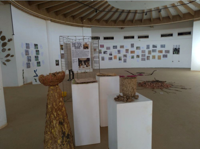 Africa 2020 : projet Land Art et biodiversité au lycée français Saint-Exupéry de Ouagadougou 